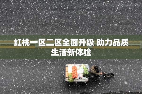 红桃一区二区全面升级 助力品质生活新体验