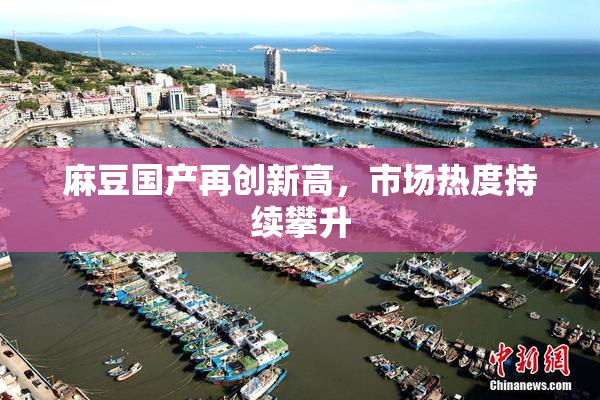 麻豆国产再创新高，市场热度持续攀升