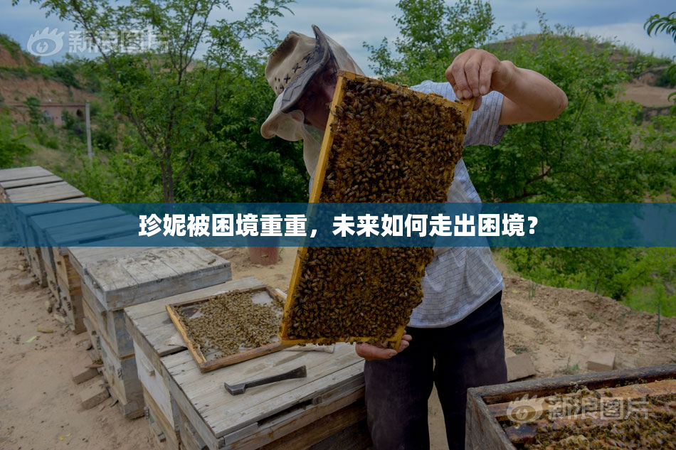 珍妮被困境重重，未来如何走出困境？