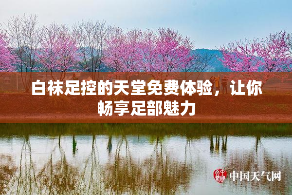 白袜足控的天堂免费体验，让你畅享足部魅力