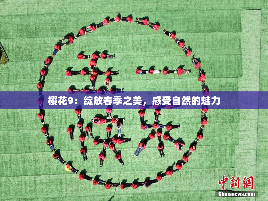 樱花9：绽放春季之美，感受自然的魅力