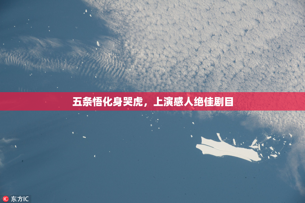 五条悟化身哭虎，上演感人绝佳剧目