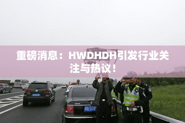 重磅消息：HWDHDH引发行业关注与热议！