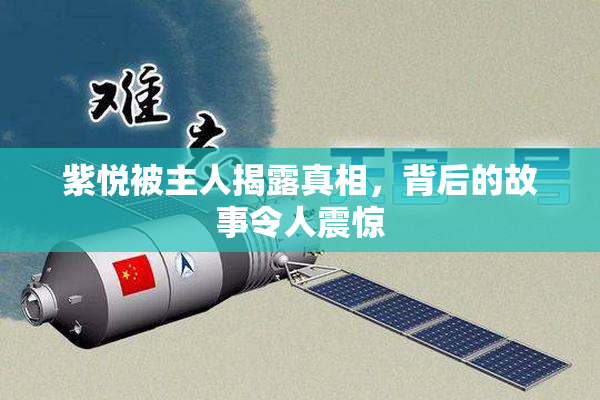 紫悦被主人揭露真相，背后的故事令人震惊