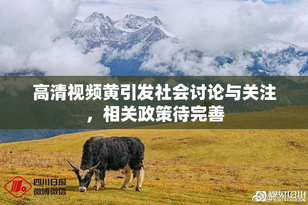 高清视频黄引发社会讨论与关注，相关政策待完善