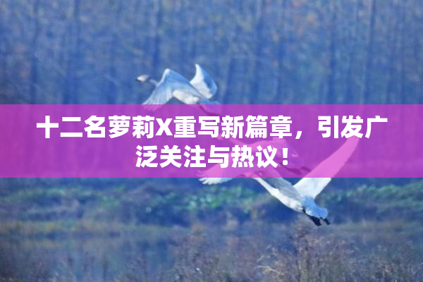 十二名萝莉X重写新篇章，引发广泛关注与热议！