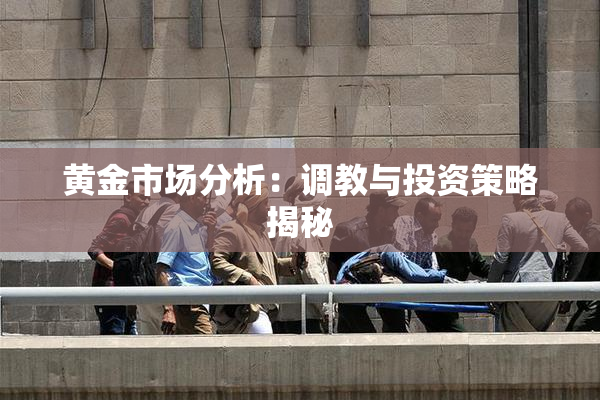 黄金市场分析：调教与投资策略揭秘