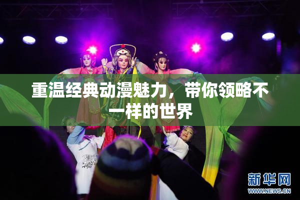 重温经典动漫魅力，带你领略不一样的世界