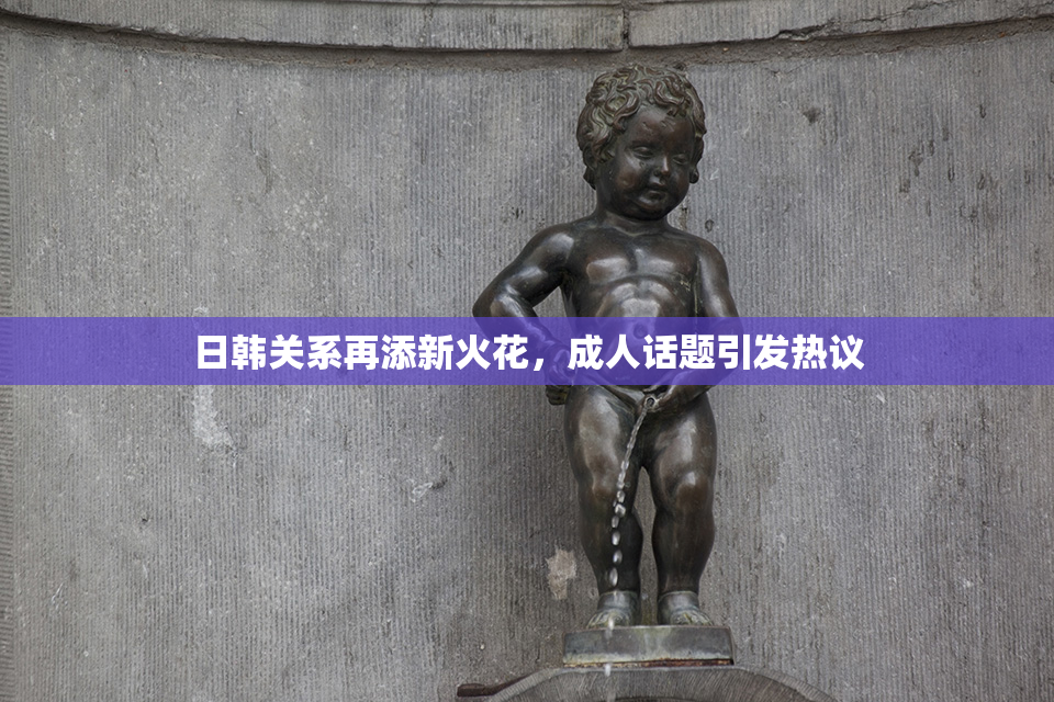 日韩关系再添新火花，成人话题引发热议