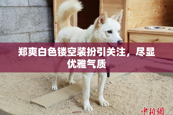 郑爽白色镂空装扮引关注，尽显优雅气质