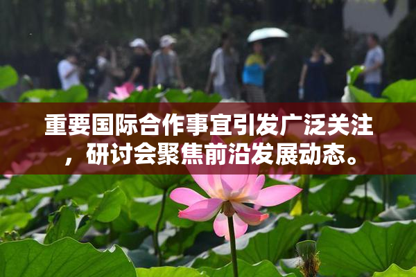 重要国际合作事宜引发广泛关注，研讨会聚焦前沿发展动态。