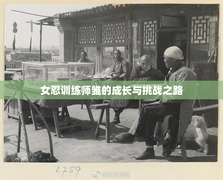 女忍训练师雏的成长与挑战之路