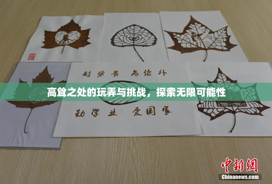 高耸之处的玩弄与挑战，探索无限可能性