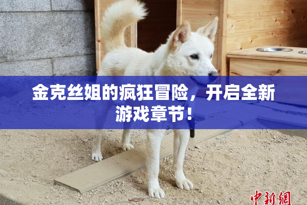 金克丝姐的疯狂冒险，开启全新游戏章节！