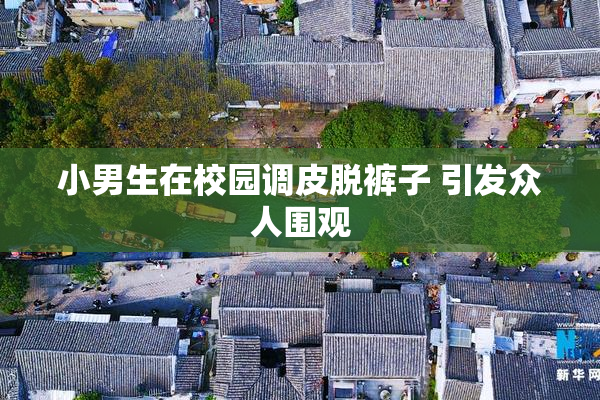 小男生在校园调皮脱裤子 引发众人围观