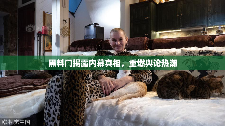 黑料门揭露内幕真相，重燃舆论热潮