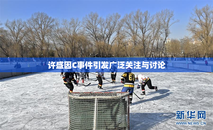 许盛因C事件引发广泛关注与讨论
