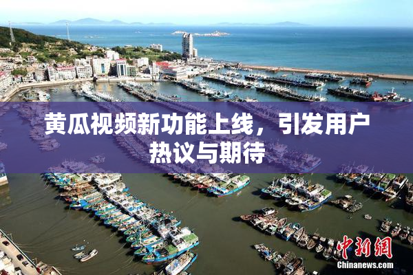 黄瓜视频新功能上线，引发用户热议与期待