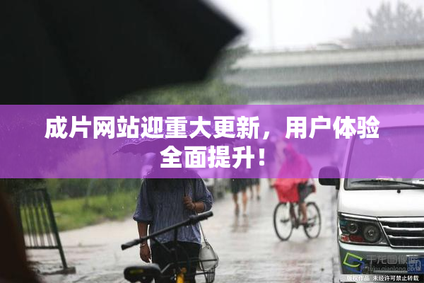 成片网站迎重大更新，用户体验全面提升！