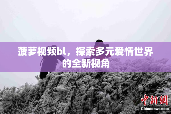 菠萝视频bl，探索多元爱情世界的全新视角