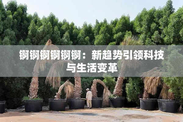 锕锕锕锕锕锕：新趋势引领科技与生活变革