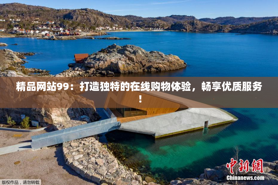 精品网站99：打造独特的在线购物体验，畅享优质服务！
