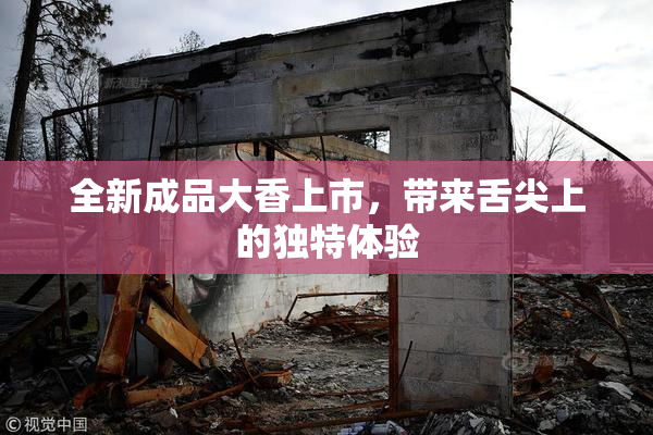 全新成品大香上市，带来舌尖上的独特体验