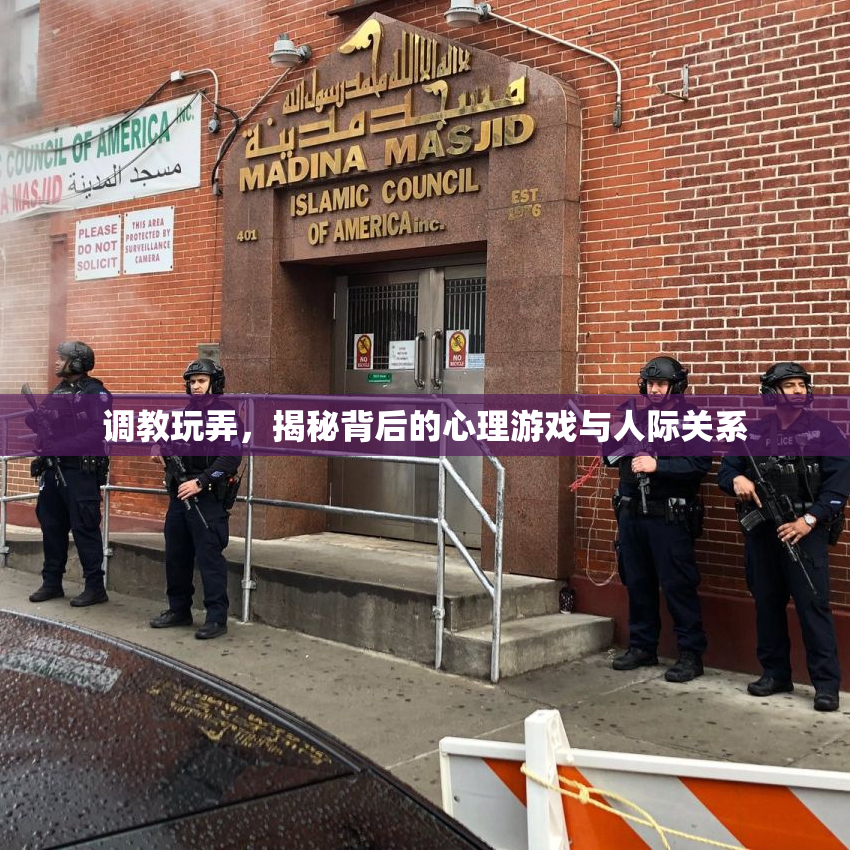 调教玩弄，揭秘背后的心理游戏与人际关系