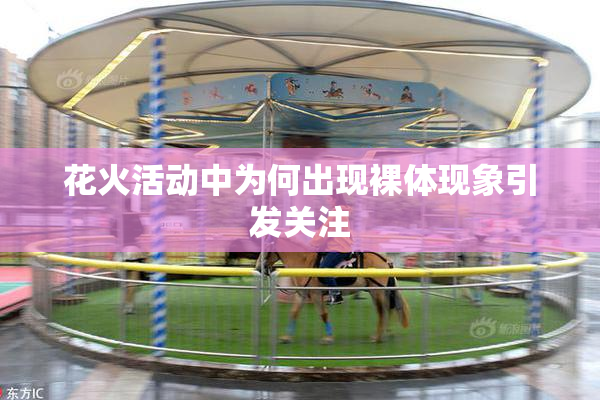 花火活动中为何出现裸体现象引发关注