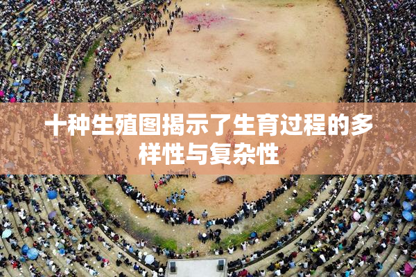 十种生殖图揭示了生育过程的多样性与复杂性