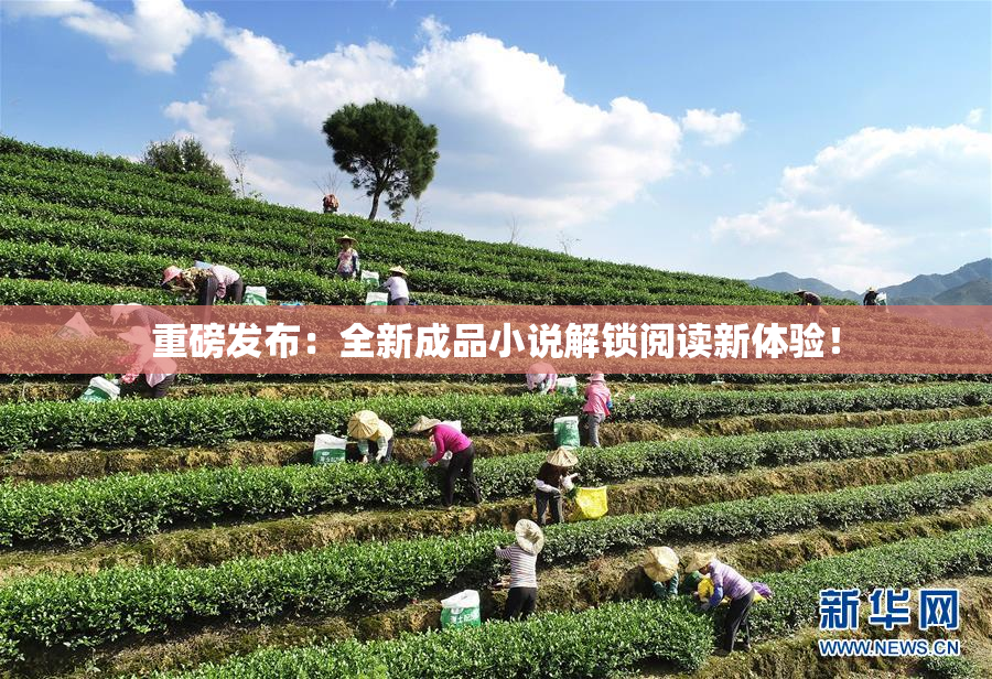 重磅发布：全新成品小说解锁阅读新体验！