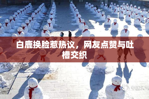 白鹿换脸惹热议，网友点赞与吐槽交织