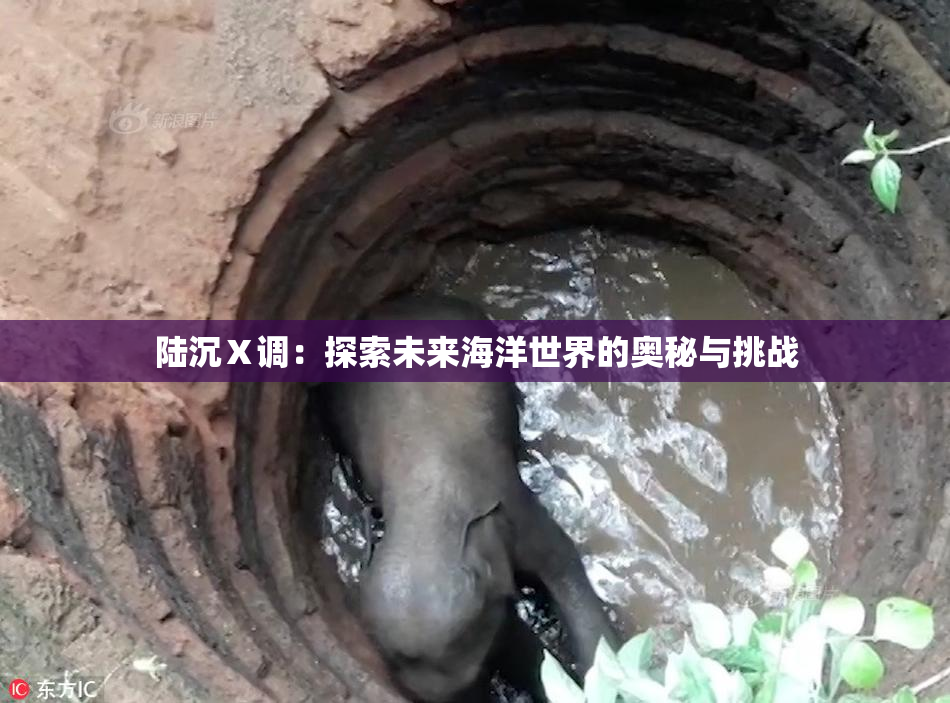 陆沉Ⅹ调：探索未来海洋世界的奥秘与挑战