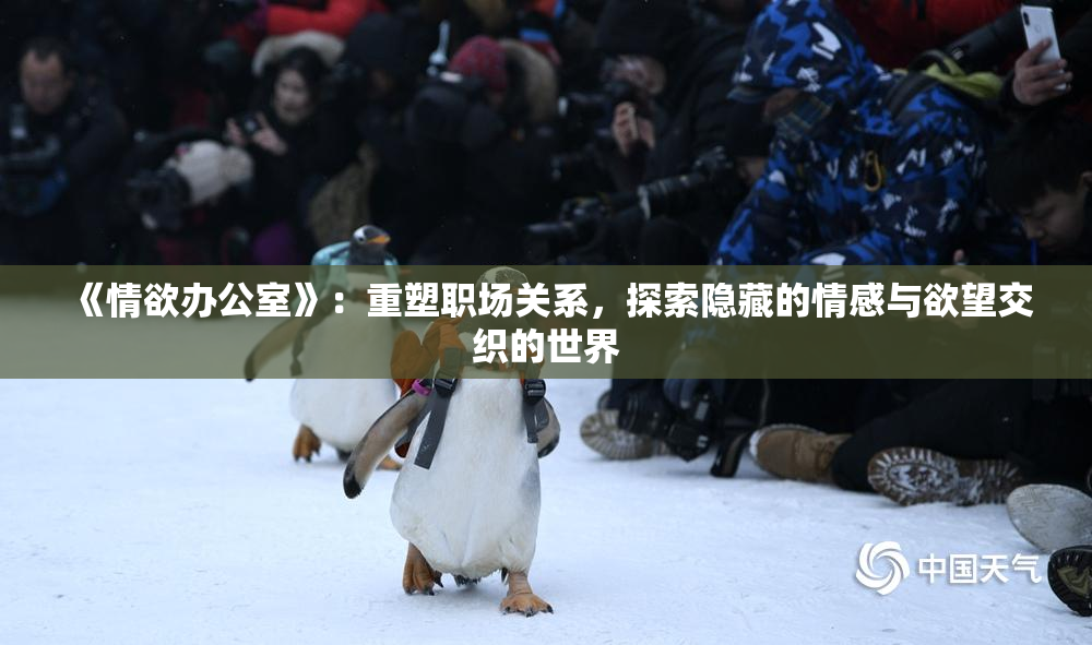 《情欲办公室》：重塑职场关系，探索隐藏的情感与欲望交织的世界