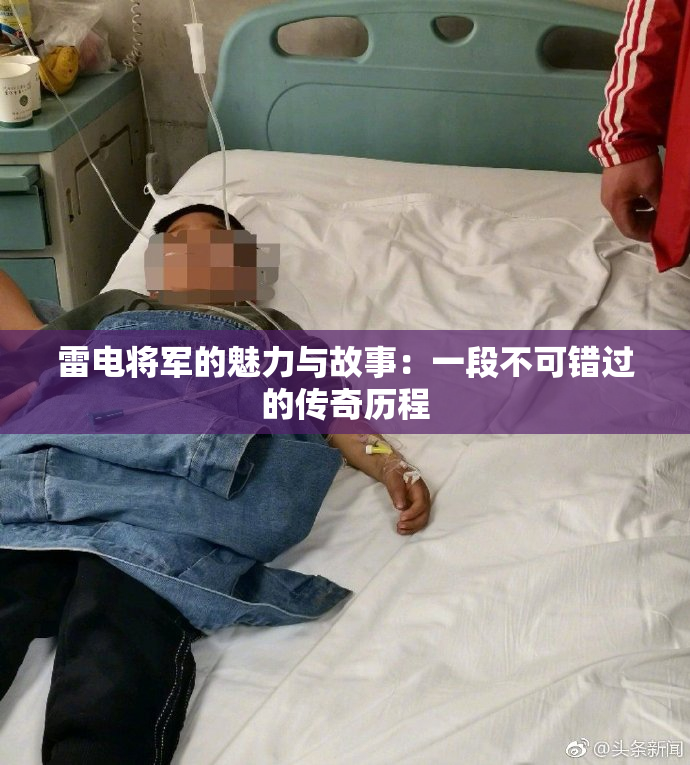 雷电将军的魅力与故事：一段不可错过的传奇历程