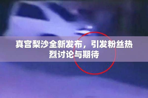真宫梨沙全新发布，引发粉丝热烈讨论与期待