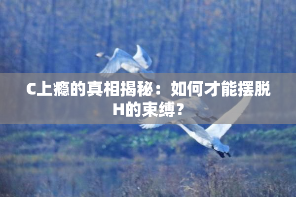 C上瘾的真相揭秘：如何才能摆脱H的束缚？