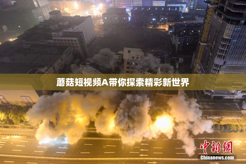 蘑菇短视频A带你探索精彩新世界