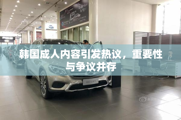 韩国成人内容引发热议，重要性与争议并存