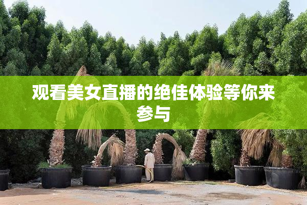 观看美女直播的绝佳体验等你来参与