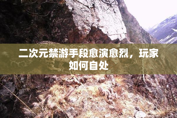 二次元禁游手段愈演愈烈，玩家如何自处
