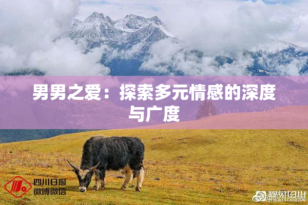 男男之爱：探索多元情感的深度与广度