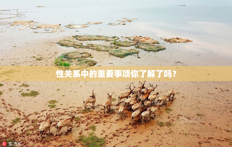 性关系中的重要事项你了解了吗？