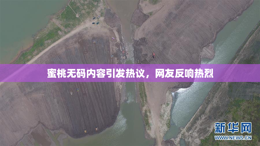 蜜桃无码内容引发热议，网友反响热烈