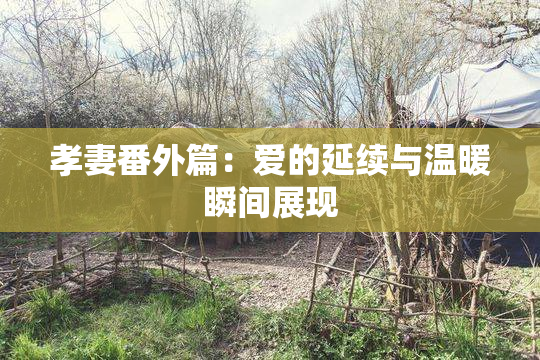 孝妻番外篇：爱的延续与温暖瞬间展现