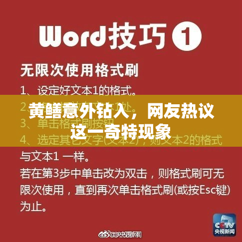 黄鳝意外钻入，网友热议这一奇特现象