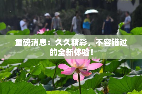 重磅消息：久久精彩，不容错过的全新体验！