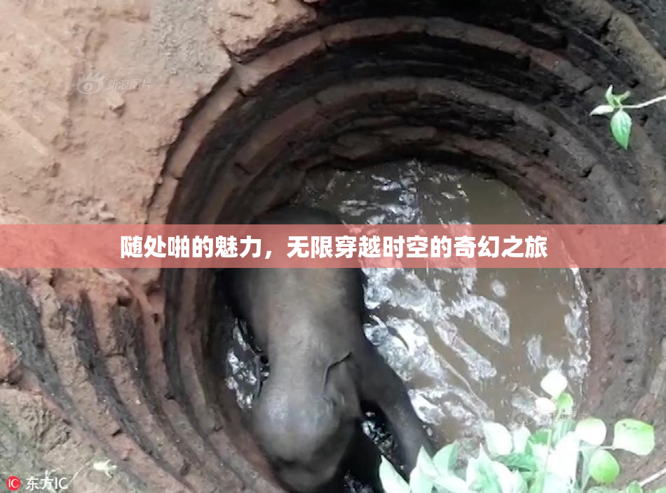 随处啪的魅力，无限穿越时空的奇幻之旅