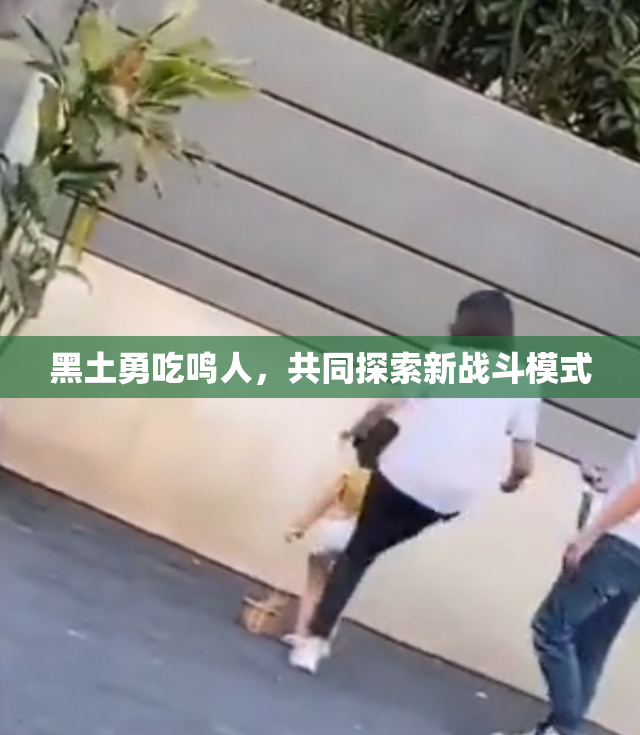 黑土勇吃鸣人，共同探索新战斗模式
