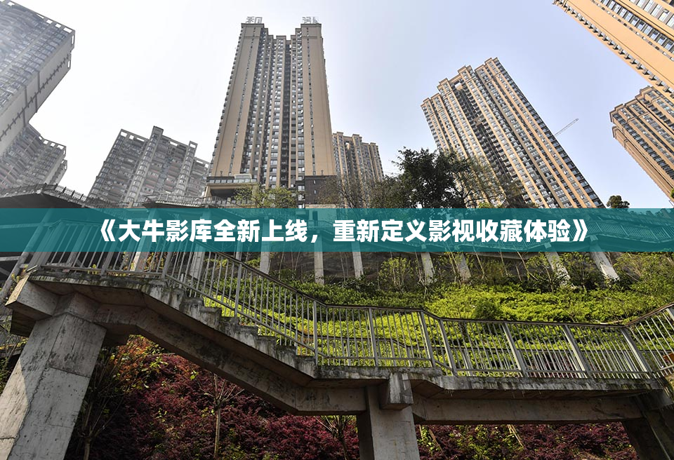 《大牛影库全新上线，重新定义影视收藏体验》